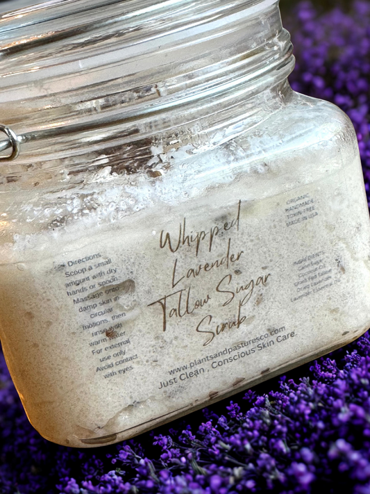 Whipped Lavender Tallow Sugar Face & Body Scrub