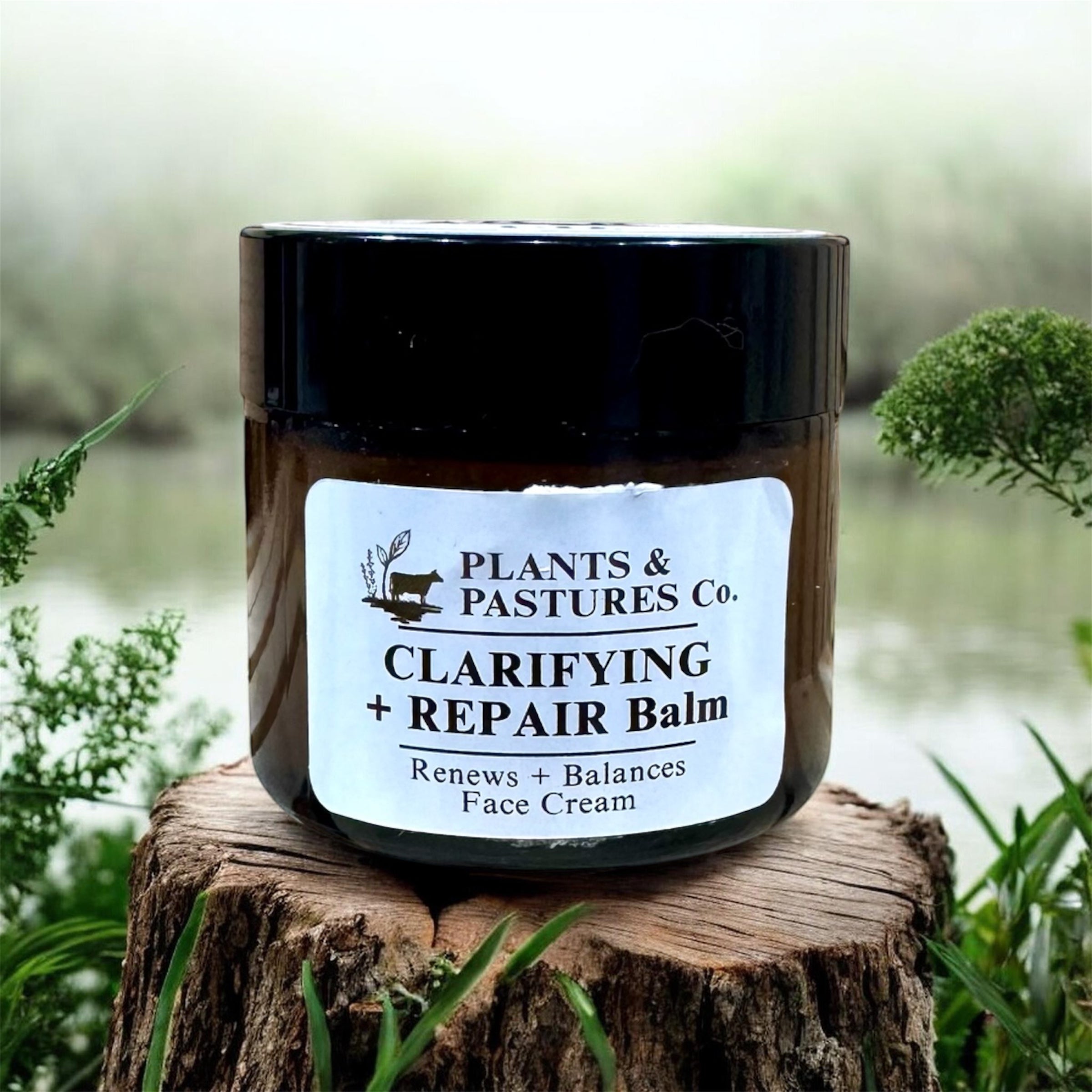 Clarifying + Repair Bundle Deluxe
