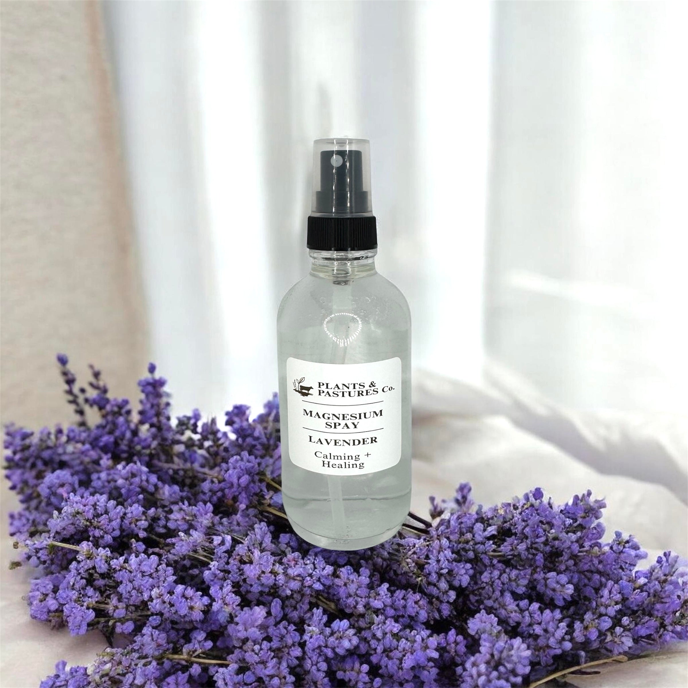 Magnesium - Lavender