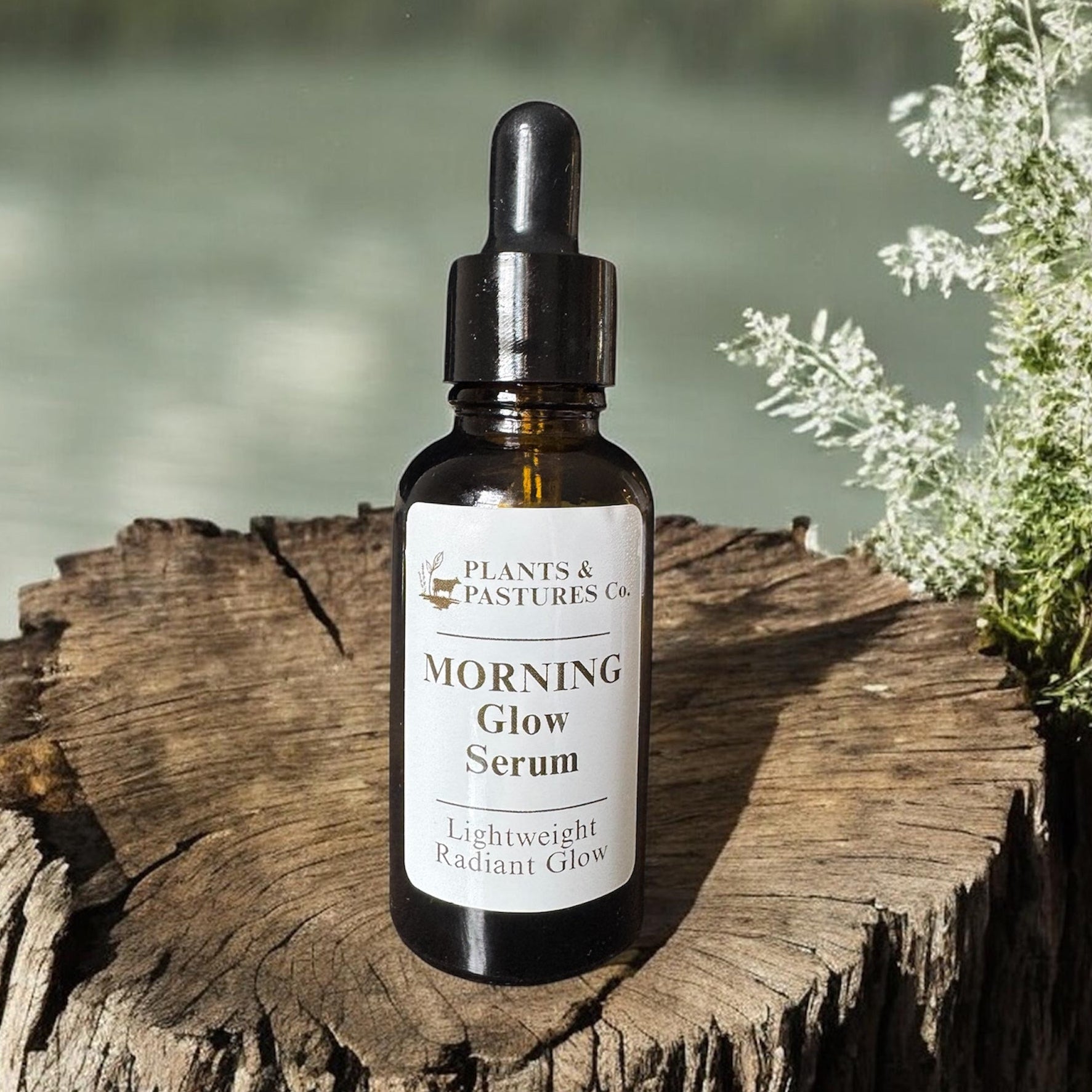 Package - Glow & Nourishment Duo