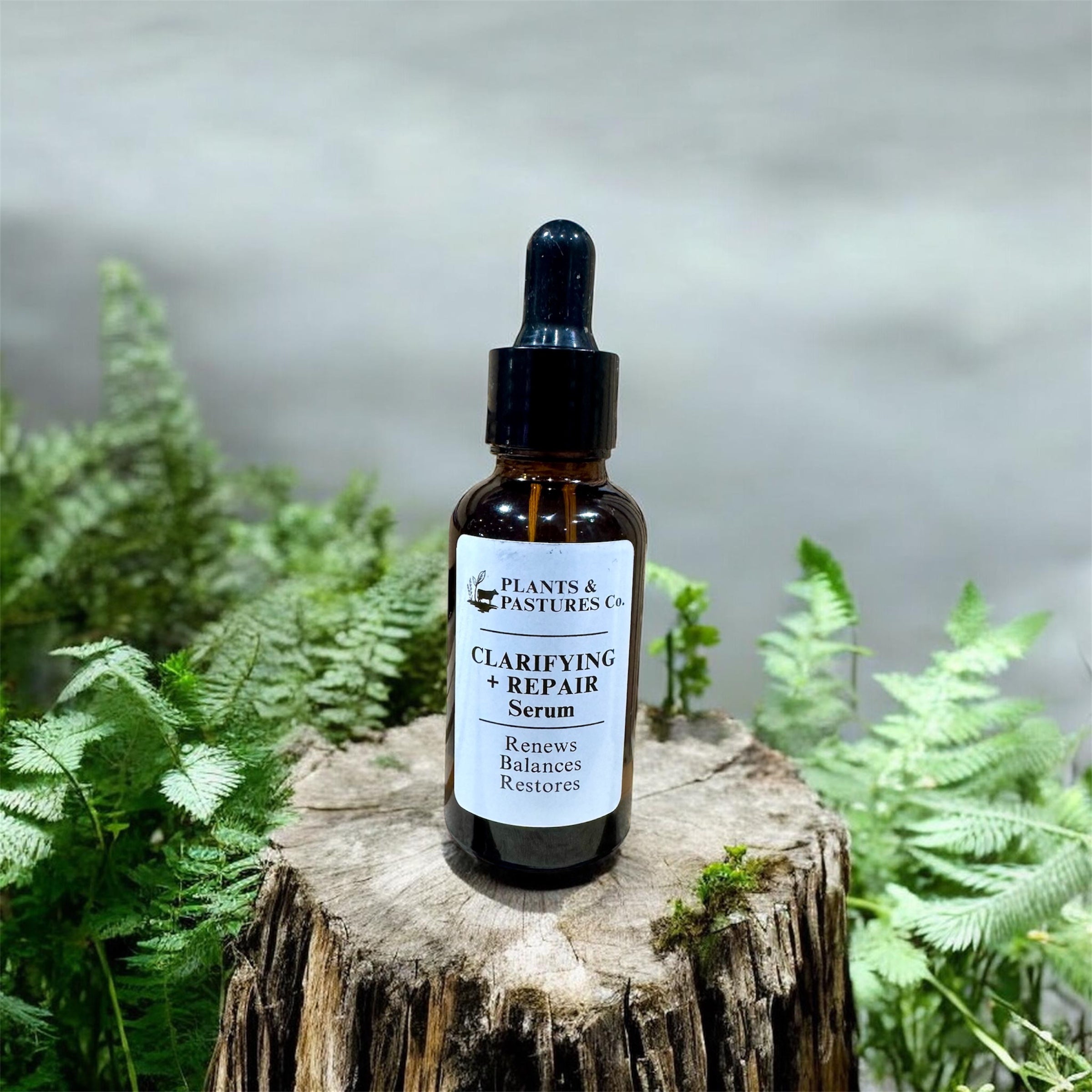 Clarifying + Repair Bundle Deluxe