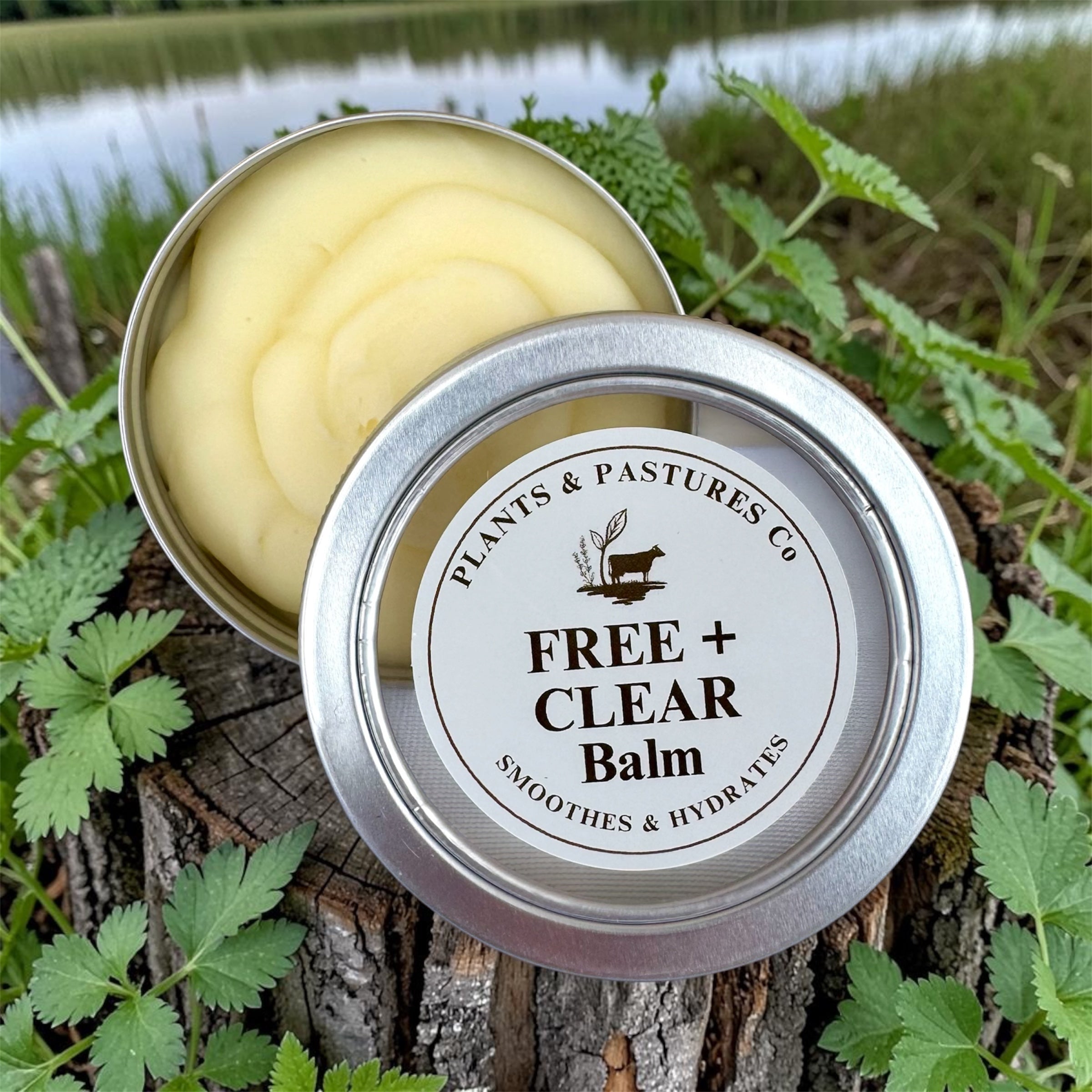 Tallow, Tallow & Tallow