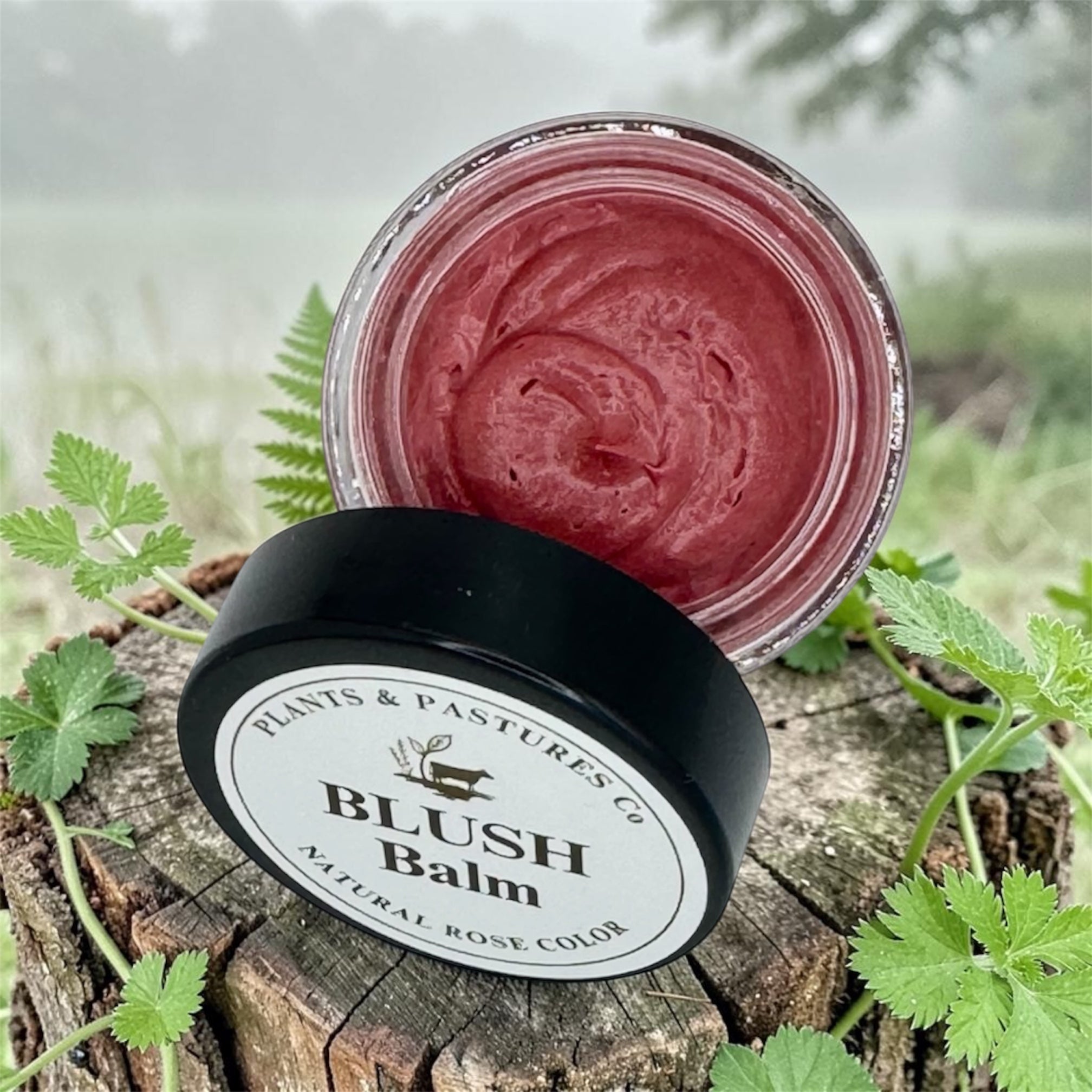Blush Balm